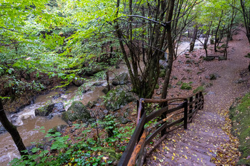 Autumn nature landscape in the forest on the waterfall path in the evening. Holiday destinations. Yalova city. Turkey. 