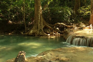 Scenic shot of a flowing water cascade surrounded by woods and vegetation