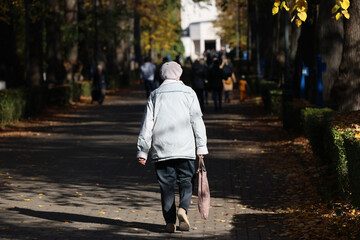 Starsi ludzie spacerują jesienną alejką na cmentarzu.  - obrazy, fototapety, plakaty