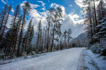 Amazing view on Winter road on lake Morskie Oko   in   Tatra nature reserve  next to Zakopane