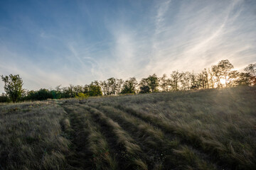 sunset in the field