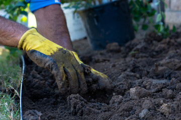 Outdoor Landscaping Lawn Gardening and Retaining Wall with Plants