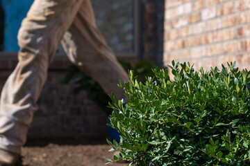 Outdoor Landscaping Lawn Gardening and Retaining Wall with Plants