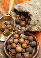 New harvest of ripe fresh Australian macadamia nuts in shell with leaves