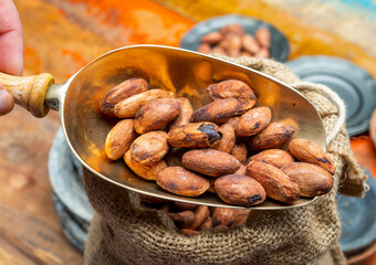 Cocoa or cacao beans, used in hot chocolate drink, chocolate, butter and solids