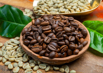 Green and roasted coffee beans from South America coffee producing region, from Colombia and Brazil with mountain ranges and climate ideal for coffee growing