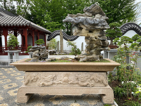 Penjing, also known as penzai, ancient Chinese art of depicting artistically formed trees, other plants, and landscapes in miniature. At the Montreal Botanical Garden. 