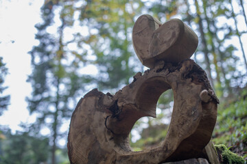 Fototapeta na wymiar Herz aus Holz im Herbst