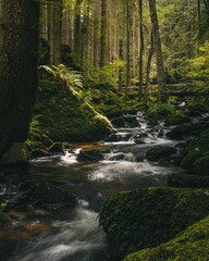 Naklejka premium Long exposure shot of St. Wolfgang Waterfall running through a beautiful forest