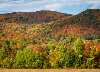 Layers of trees in many autumn colors line a hillside near Pomfret in Vermont