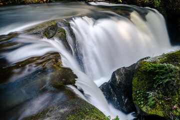 waterfall in the forest