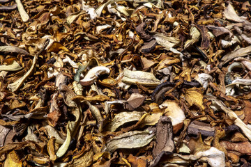 Pile of dried mushrooms for food preparation