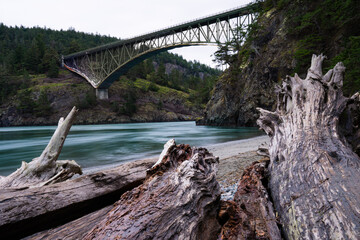 bridge over the river