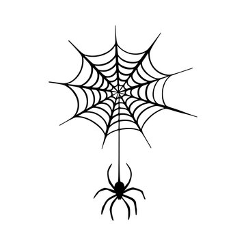 The black spider descends on the web. Scary cobweb of Halloween symbol. Vector isolated spooky background for october party and invitations. Isolated on white vector image