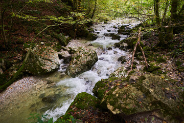 River in the enchanted forest