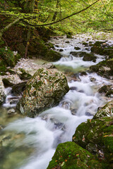 River in the enchanted forest