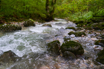 River in the enchanted forest