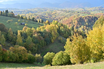 Fototapeta na wymiar Autumn colors at mountain