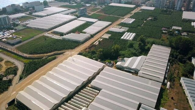 Top view of agricultural greenhouses. Clip. Beautiful green fields and greenhouses of agricultural production in summer. Agricultural industry for growing vegetables in fields and greenhouses