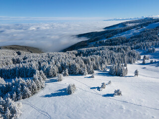 Aerial Winter view of Vitosha Mountain, Bulgaria