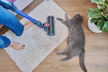Cleaning house with vacuum cleaner, female with pet cat