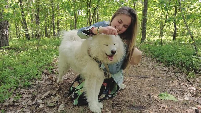 Woman hugging her dog samoyed at forest