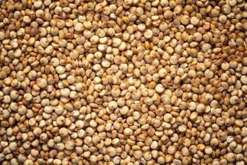 Quinoa