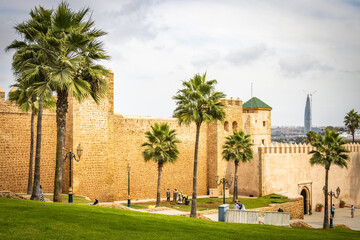 Fototapeta premium walled city, kasbah of the udayas, rabat, morocco, north africa, medina