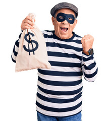 Senior handsome man wearing burglar mask holding money bag screaming proud, celebrating victory and success very excited with raised arms - obrazy, fototapety, plakaty