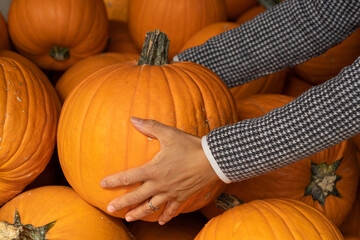 Woman's hand holding big orange pumpkin