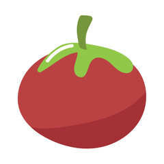 tomato vegetable icon