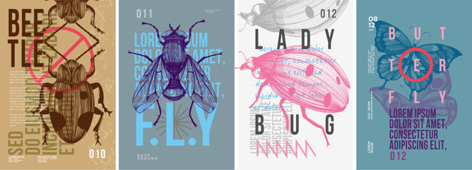 Beetle, fly, ladybug, butterfly. Set of vector posters . Typography. Vintage pencil sketch. Engraving style. Labels, cover, t-shirt print, painting. © Molibdenis-Studio