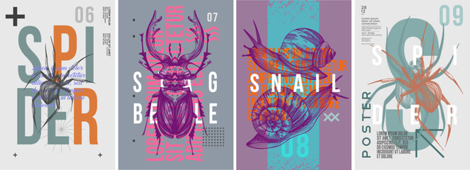Spider, deer beetle, snails. Set of vector posters . Typography. Vintage pencil sketch. Engraving style. Labels, cover, t-shirt print, painting. © Molibdenis-Studio