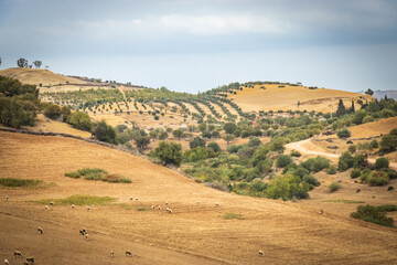landscape in the rif mountains, morocco, north africa