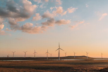 Obraz premium wind turbine at sunset