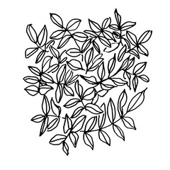 Hand drawn leaves and branches sketch. Black and white lines. Vector illustration