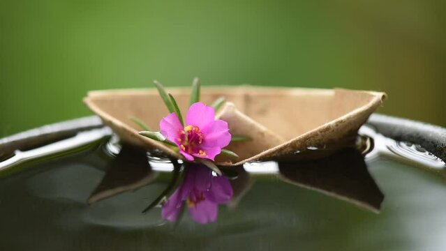 Pink purslane flower in paper boat on nature background.