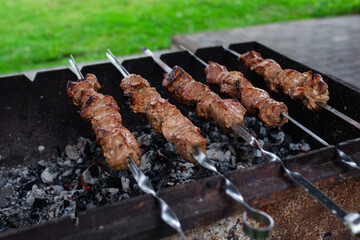 Close-up of skewered meat (shashlyk or Shish kebab) on the barbecue grill over charcoal