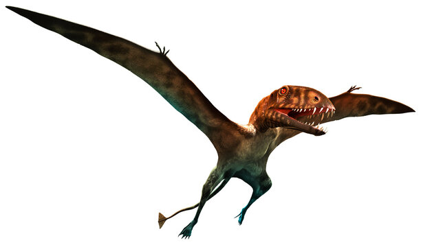 dimorphodon from the Jurassic era 3D illustration	
