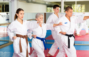 Group lesson in karate or taekwondo in the gym. Practicing blows