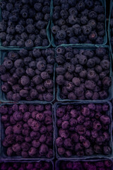 Bright purple and blue ombre fresh picked blueberries in containers
