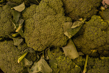 Fresh farm stand healthy broccoli florets top down composition 