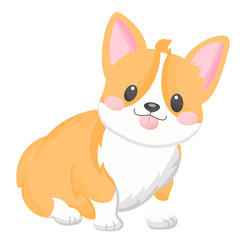 Shiba cute dog animal