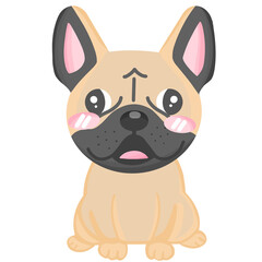 French Bulldog, cute dog animal