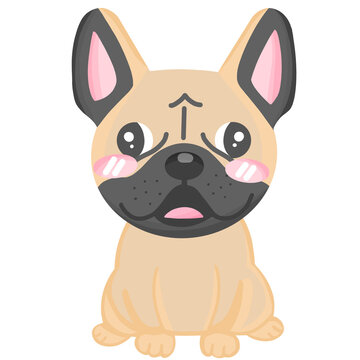 French Bulldog, cute dog animal