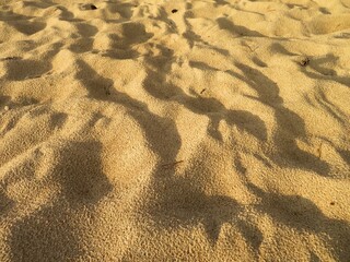 sand ripples in the sand