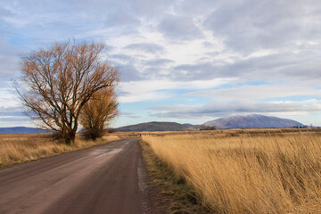 Landscape with trees and a road on the Miller Island Wildlife Refuge in Southern Oregon.