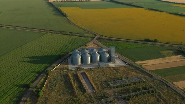 modern grain silos at the field of blooming sunflowers