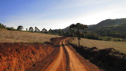 landscape in colorful country road