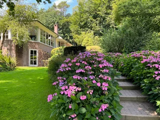 Badkamer foto achterwand Pathway among beautiful hydrangea shrubs with violet flowers outdoors © New Africa